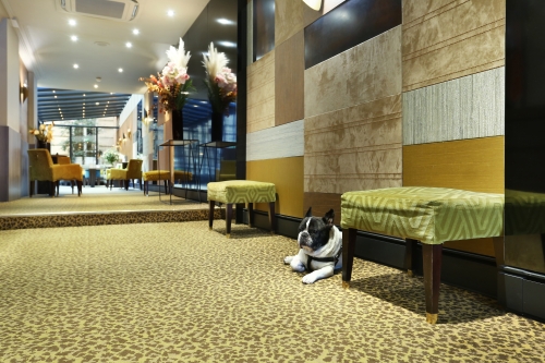 Hôtel Concortel - Accueil